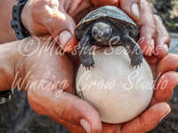 Baby x2, Galapagos Archipelago, Ecuador