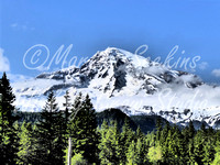 Mount Rainier NP