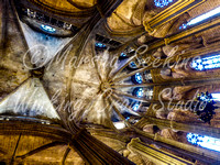 Barcelona Cathedral 4