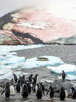 Antarctica-4